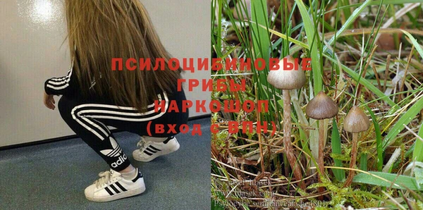 прущая мука Инсар